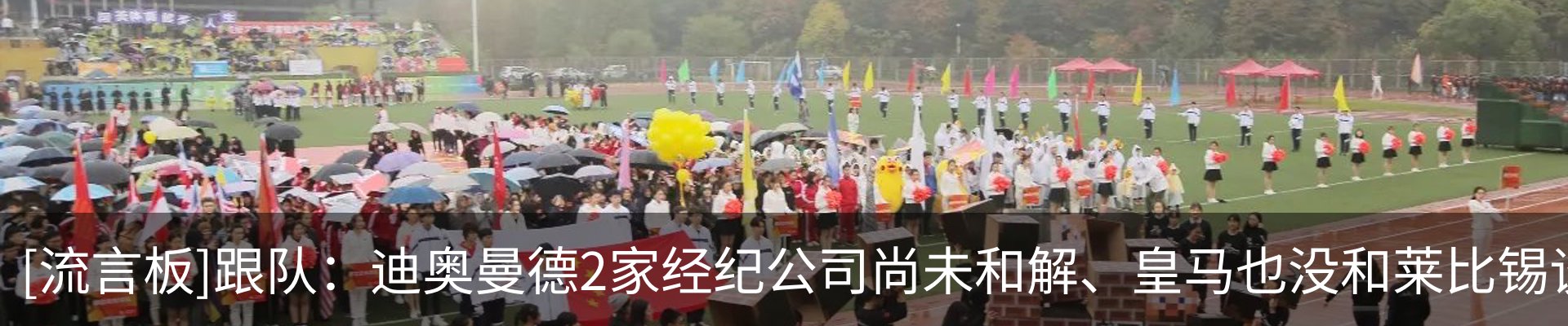 最新动态